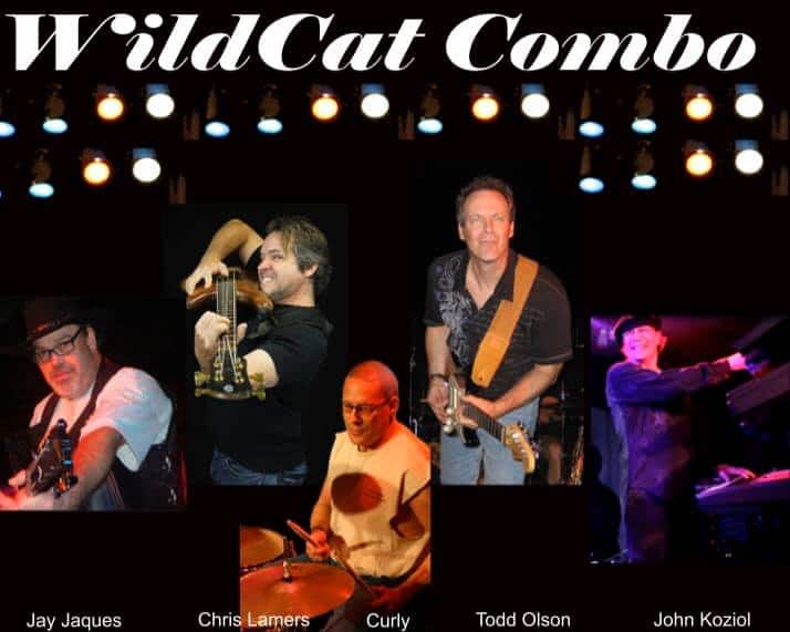 Wildcat Combo picture